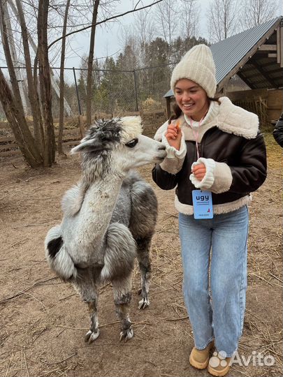Дубленка женская демисезонная
