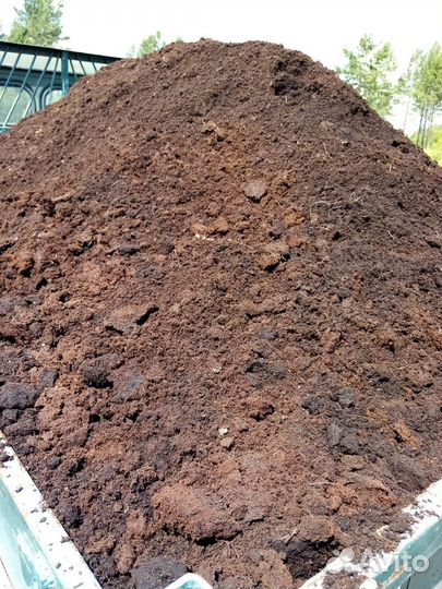 Продам Прегной, навоз