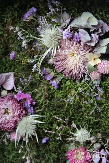 Картины из сухоцветов в рамке