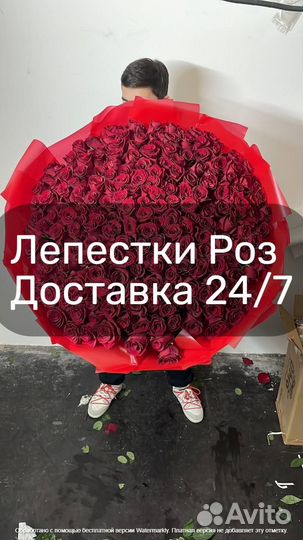Свежие лепестки роз