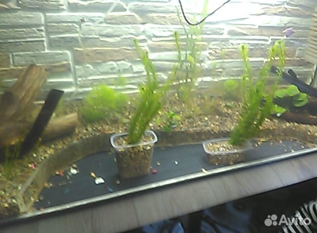 Продам аквариум 300 л