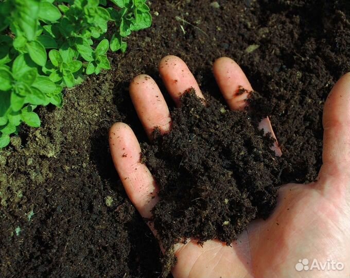 Грунт плодородная земля
