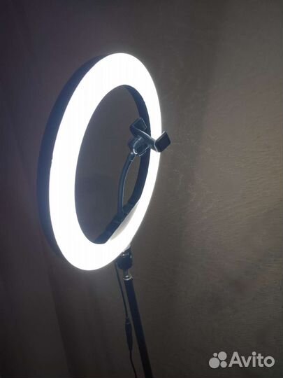 Кольцевая лампа (Аренда)