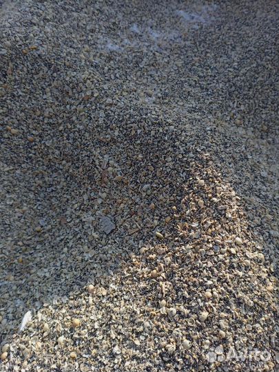 Корм для животных