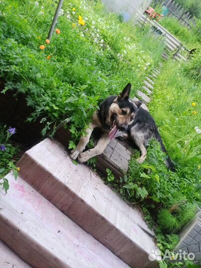 Нужна вязка