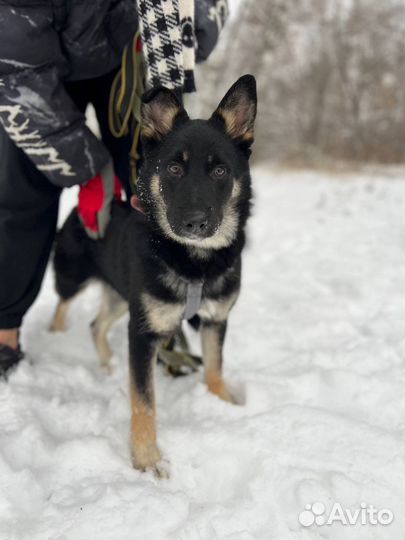 Нежный добрый мальчишка метис