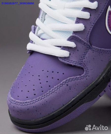 Nike SB dunk low purple