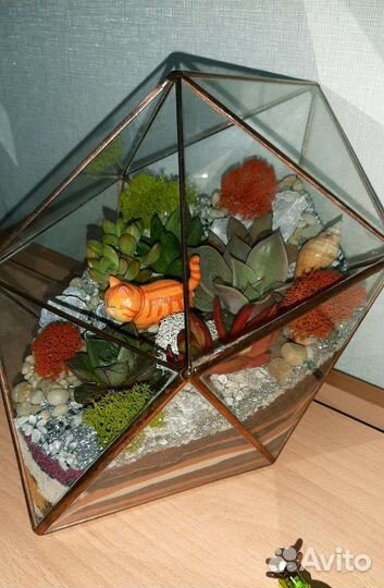 Флорариумы