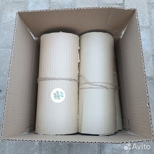 Мята сортовая