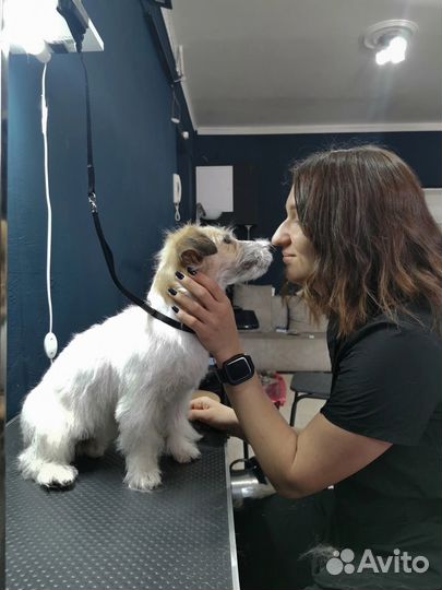 Груминг. Грумер