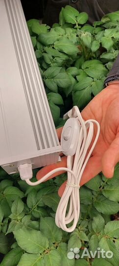 Фитосветильник полный спектр