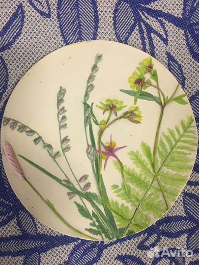 Ботанические барельефы