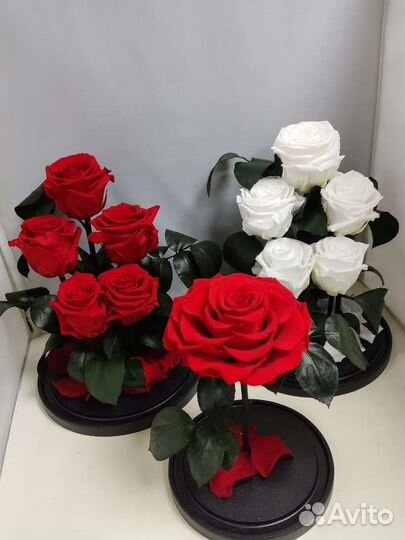 Подарок на новый год/ Роза в колбе