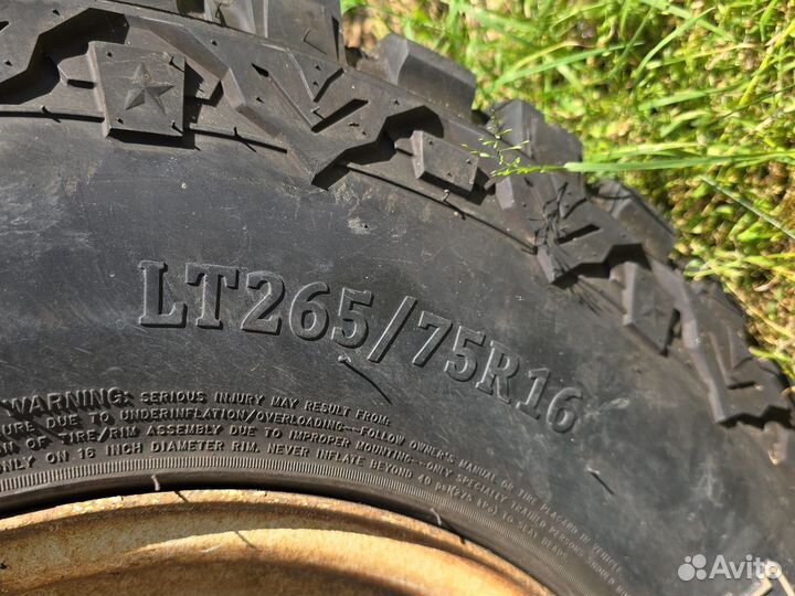 Авторазбор Great Wall Safe