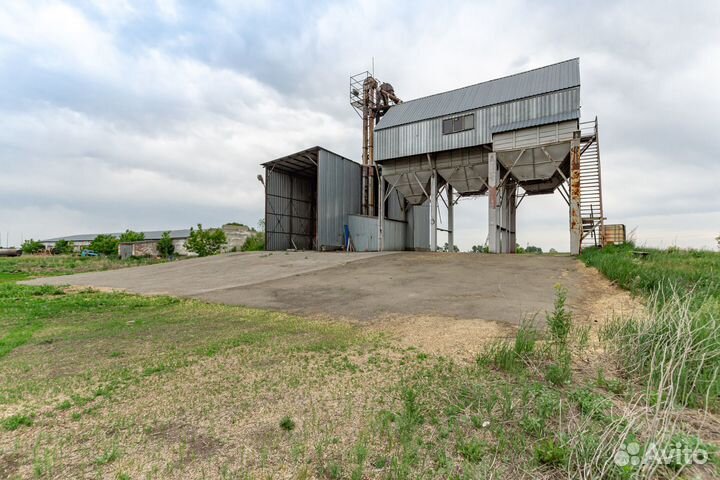 Продам Птицефабрику