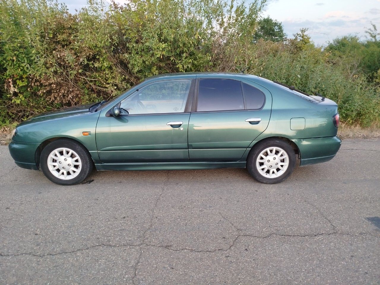 Nissan Primera: фото владельца