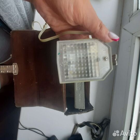 Вспышка Чайка