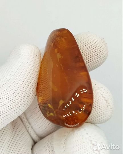 Янтарь Инклюзы Крупный Самородок с Инклюзом