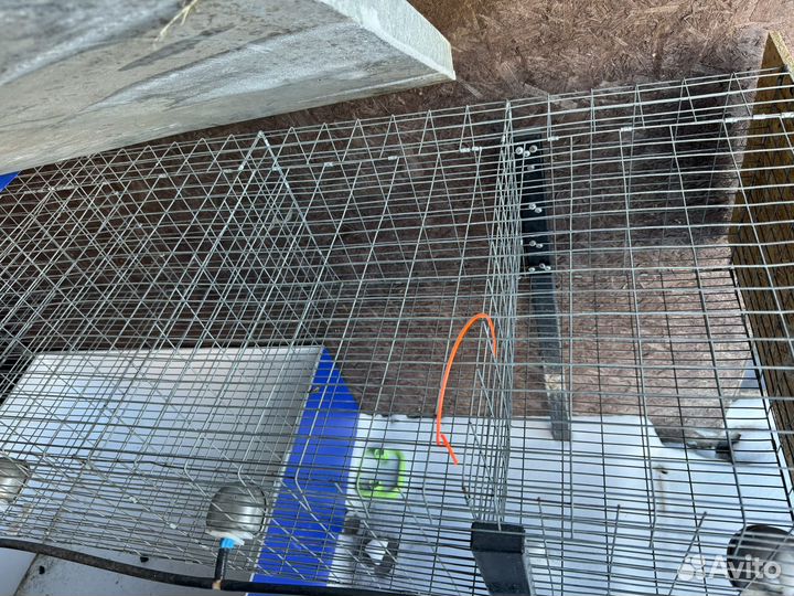 Клетки для кроликов бу