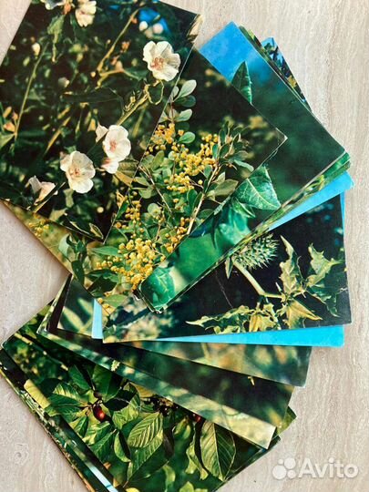 Наборы открыток СССР