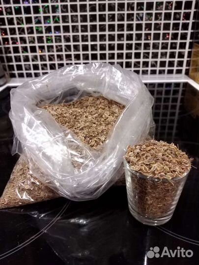 Семена укропа