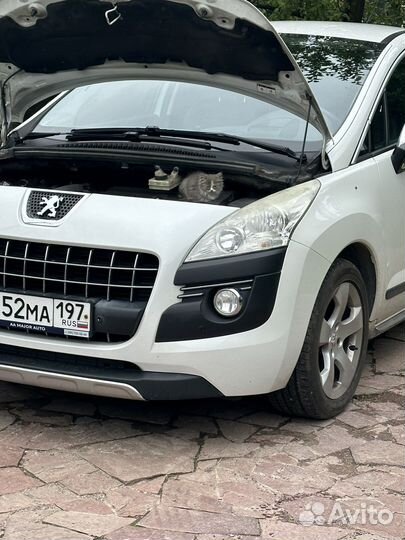 Отдадим котеночка в добрые руки, бесплатно