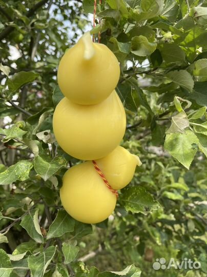 Натуральные домашние молочные продукты, пасха