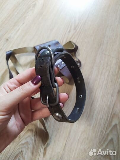 Намордник и ошейник