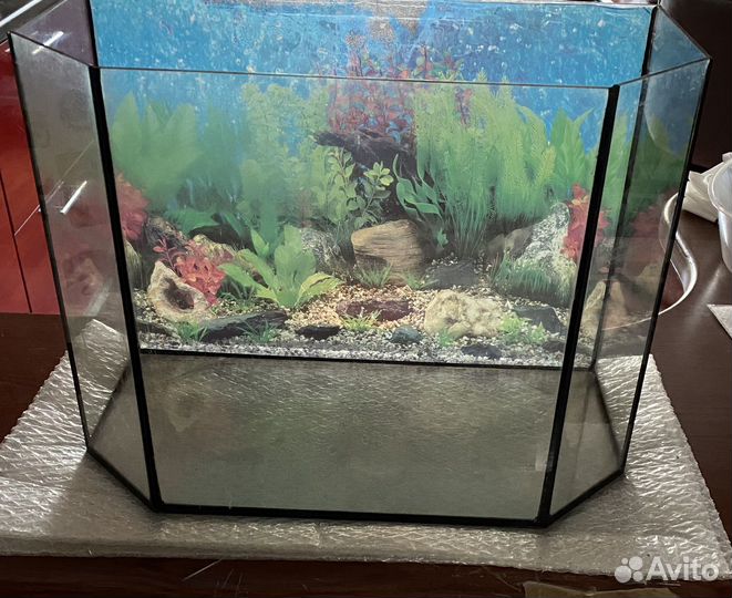 Аквариум