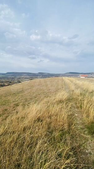 Участок 8 сот. (ИЖС)