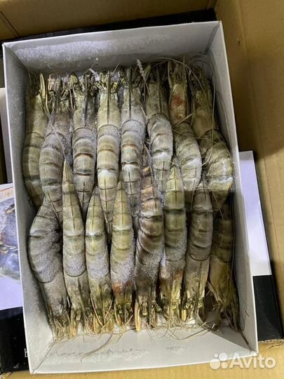 Креветка тигровая Биг Крупная