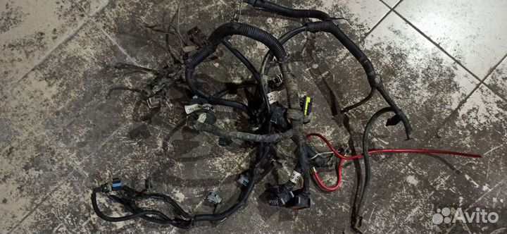 Проводка двигателя шевроле авео 1.4 94 лс