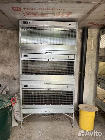 Перепелиная ферма