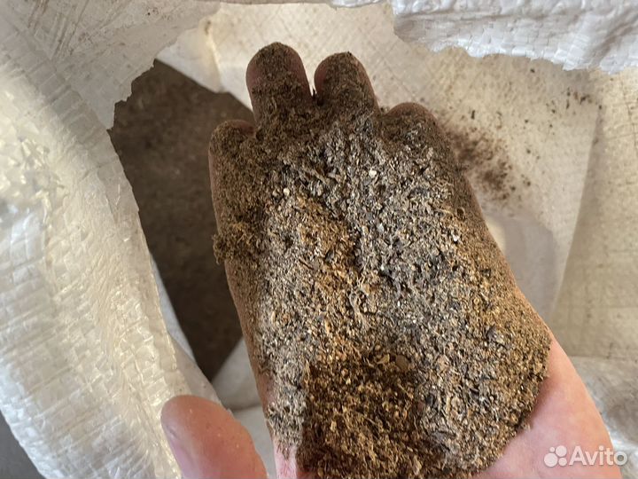 Зерно пшеница, ячмень, овёс, дроблёнка, комбикорм