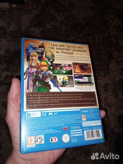Hyrule warriors wii u