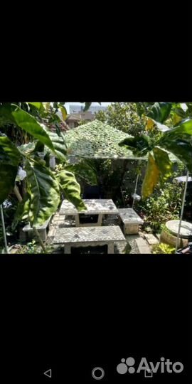 Маскировочная сеть (Тайга )