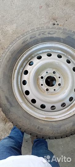 Pirelli Winter Ice Zero 185/60 R14