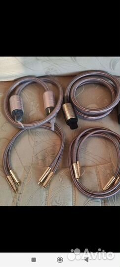 Accuphase 40th Anniversary RCA сетевой