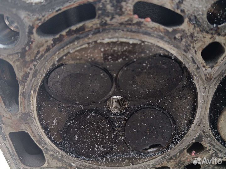 Двигатель ford focus 2