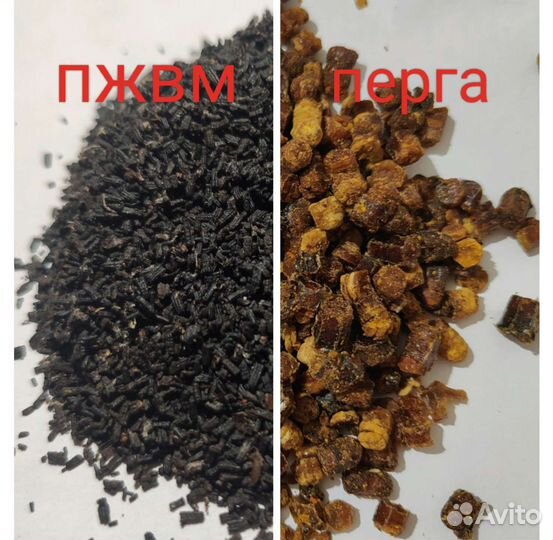 Огневка пжвм(отзывы)