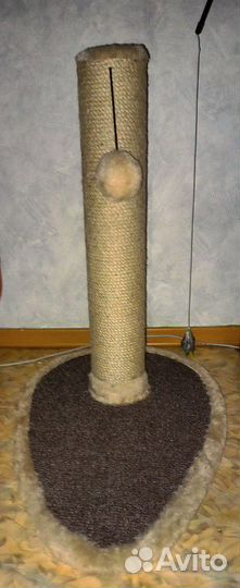 Когтеточка