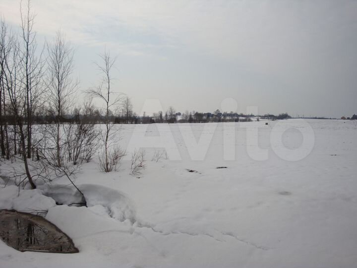 Участок 2,3 га (СНТ, ДНП)