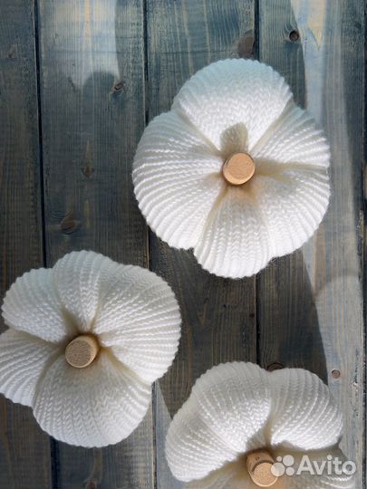 Тыква декоративная