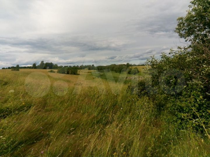 Участок 50 га (СНТ, ДНП)