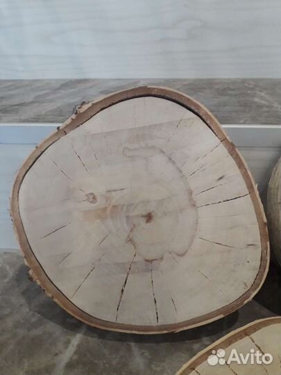 Срезы/спилы березы d21см