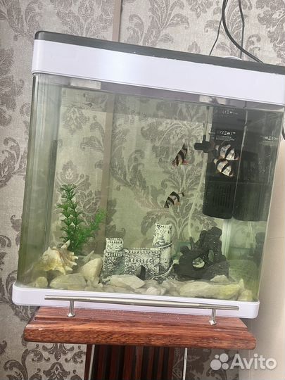 Аквариум