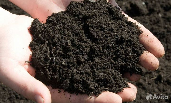 Чернозем растительный для огорода