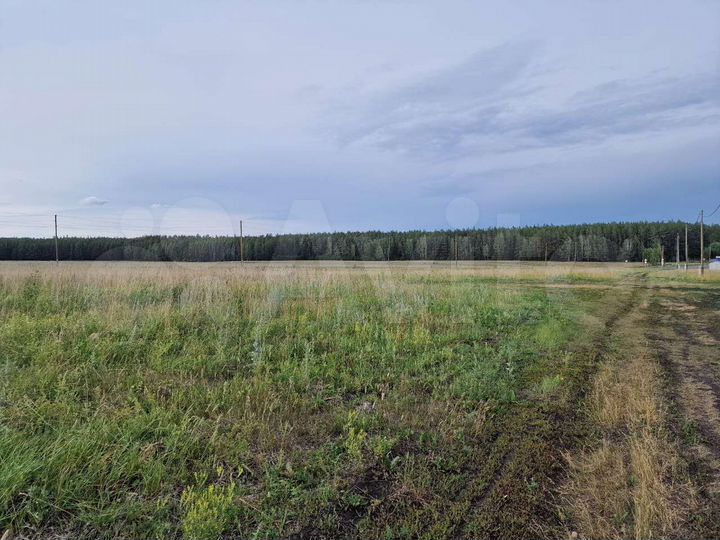 Участок 20 сот. (СНТ, ДНП)