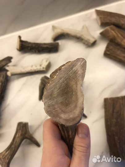 Лакомства для собак