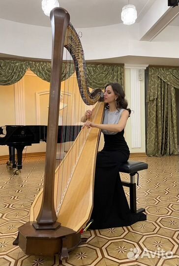 Преподаватель по фортепиано и арфе/ сольфеджио